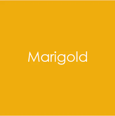 CARD STOCK 8.5 X 11- Marigold- Heavy Weight