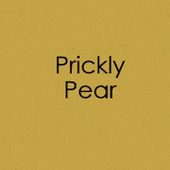CARD STOCK 8.5 X 11- Prickly Pear- Heavy Weight