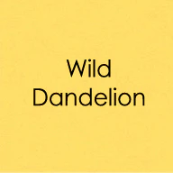 ENVELOPES- Wild Dandelion