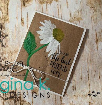 STAMPS- Colossal Coneflower - Image 3