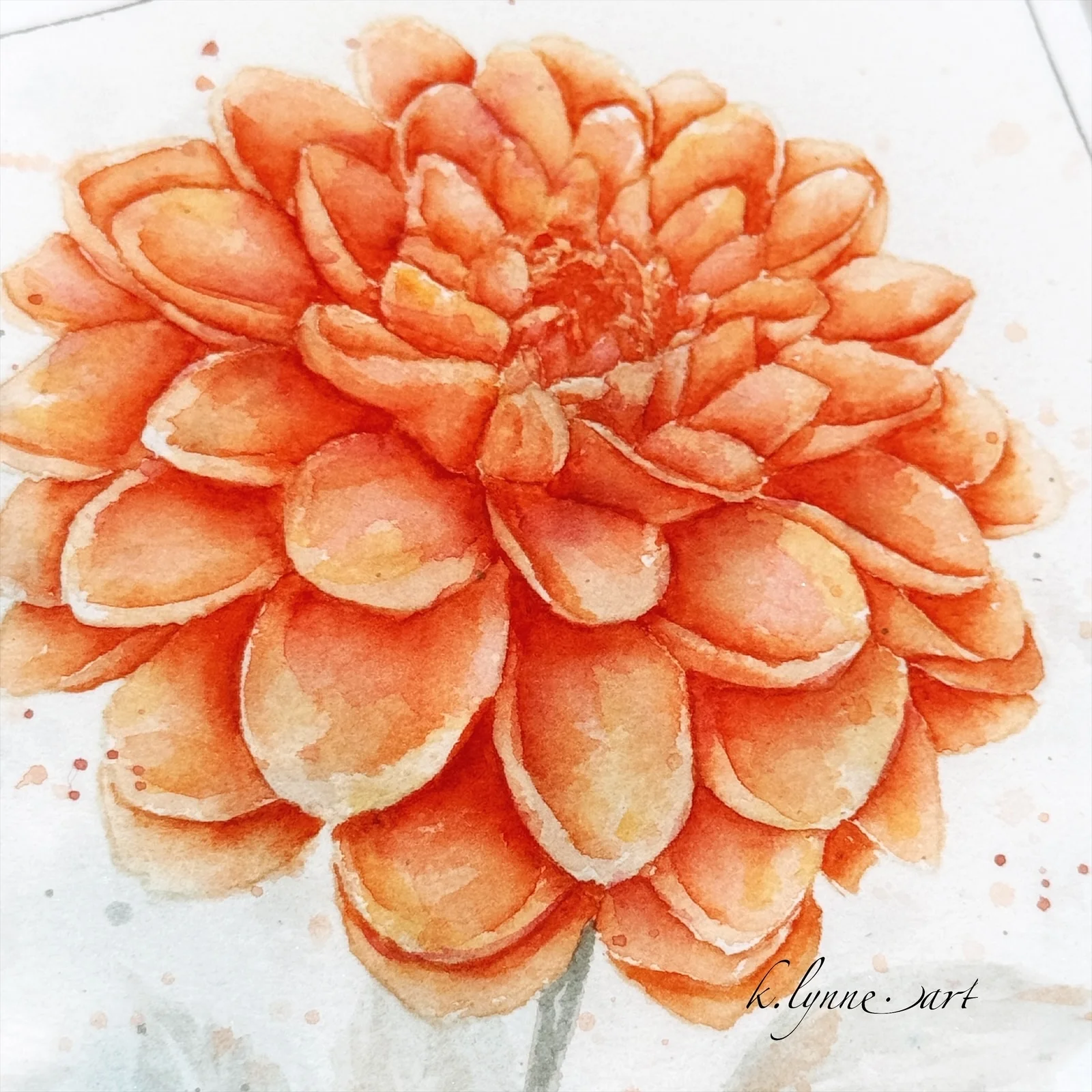 *STAMPS- Time to Bloom - Image 5